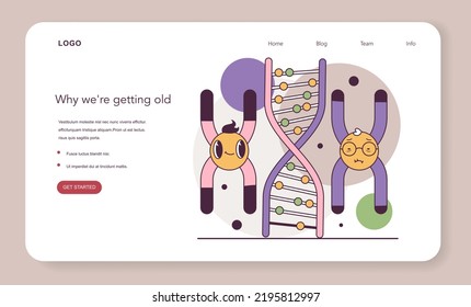 Human Telomeres Shortening. Cellular Level Of Aging. Time-dependent Accumulation Of Cellular Damage And Mutation. Flat Vector Illustration