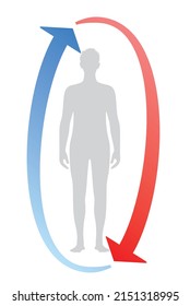 Human thermal regulation temperature. vector