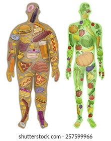 Human, Thin, Fat. Nutrition, Diet, Food. Vector Illustration 