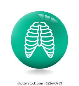  Human thorax icon flat.