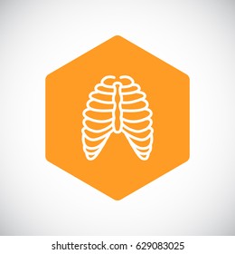  Human thorax icon flat.