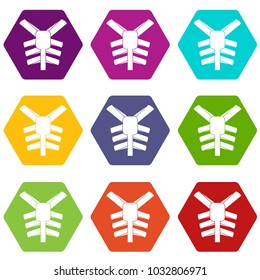 Human thorax icon set many color hexahedron isolated on white vector illustration