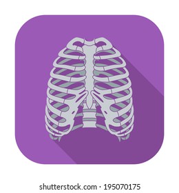 Human thorax. Single flat color icon. Vector illustration.