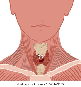 Human Thyroid Anatomy Illustration. Thyroid Gland With Eyes. Children's Illustration In A Book. Thyroid Disease. Vector. For Cards, Posters, Stickers  And Professional Design. Endocrinology