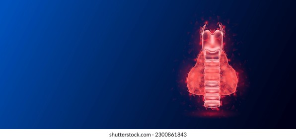 Human thyroid gland anatomy red translucent low poly triangles on dark blue background. Futuristic glowing organ hologram and copy space for text. Medical and science concept. Banner design vector.