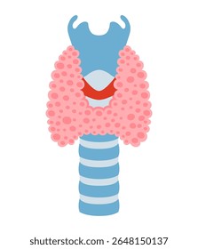 Human thyroid gland cartoon stylized vector illustration. Anatomical hormone gland organ symbol on white background. Medical concept. Drawing human thyroid gland for medical infographic design