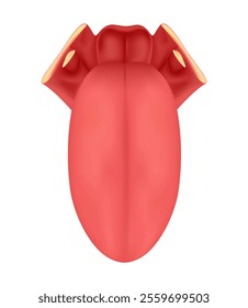 Human Tongue 3d Vector Illustration