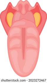 The human tongue Concept, dorsum Vector color Icon Design, Organ System Symbol, Human Anatomy Sign, Human Body Parts Stock illustration