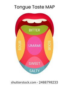 Human Tongue Taste MAP Illustration