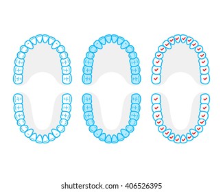 Human tooth anatomy illustration set. Vector design.