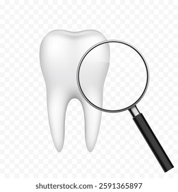 Human tooth close up under magnifying glass. Isolated on transparent background. Vector illustration