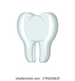 human tooth flat design icon vector illustration, isolated stock vector