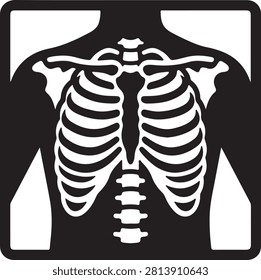 Human torso x ray ribcage sternum and clavicle anatomy illustration