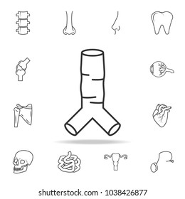 Human trachea icon. Detailed set of human body part icons. Premium quality graphic design. One of the collection icons for websites, web design, mobile app on white background