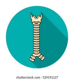 Human trachea icon in flat style isolated on white background. Human organs symbol stock vector illustration.