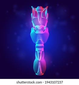 Human trachea medical structure. Outline vector illustration of the hyoid bone and thyroid cartilage organ anatomy in 3d line art style on neon abstract background