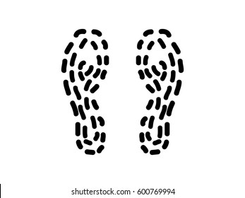 Human trail vector
