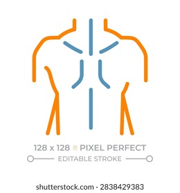 Human upper body two color line icon. Orthopedic care. Chiro and physical therapy. Spine health bicolor outline symbol. Duotone linear pictogram. Isolated illustration. Editable stroke