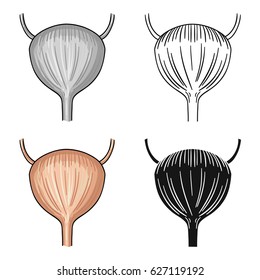 Human urinary bladder icon in cartoon style isolated on white background. Human organs symbol stock vector illustration.