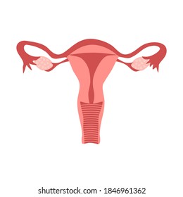 Ilustración vectorial del concepto del útero humano sobre fondo blanco. Diseño plano de órganos internos de ginecología femenina. 