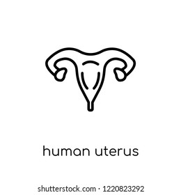 Human Uterus icon. Trendy modern flat linear vector Human Uterus icon on white background from thin line Human Body Parts collection, editable outline stroke vector illustration