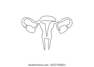 Human uterus organ in continuous one line drawing. Editable vector.