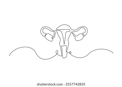 Human uterus organ in continuous one line drawing. Editable vector.