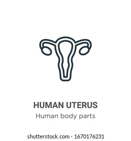 Human uterus outline vector icon. Thin line black human uterus icon, flat vector simple element illustration from editable human body parts concept isolated stroke on white background