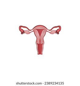 icono de tipo de vector de útero humano