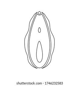 human vagina line icon female opening stok vektör telifsiz 1746232583