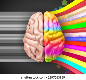 human vector brain. mesh. logical and creative hemispheres. bright colors. learning and personal development