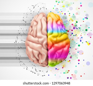 human vector brain. mesh. logical and creative hemispheres. bright colors. learning and personal development