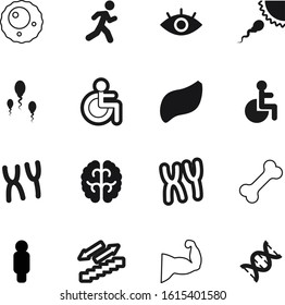 human vector icon set such as: creative, intelligence, knowledge, see, eat, bone, evolution, finance, runner, sight, eyeball, mind, view, success, building, bones, strand, meal, simple, dog