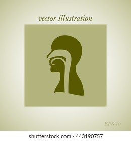 human, vector, throat,