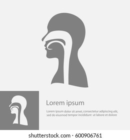 human, vector, throat,