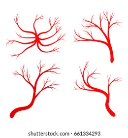 Human Vein Set Vector Symbol Icon Design. Beautiful Illustration Isolated On White Background
