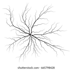 Human vein, vessel  silhouette  vector symbol icon design. Beautiful illustration isolated on white background