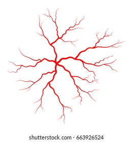 Human vein, vessel vector symbol icon design. Beautiful illustration isolated on white background