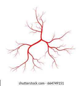 Human vein, vessel vector symbol icon design. Beautiful illustration isolated on white background