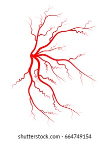 Human vein, vessel vector symbol icon design. Beautiful illustration isolated on white background