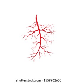 Human Veins Arteries Illustration Design Template vector de stock libre de regalías
