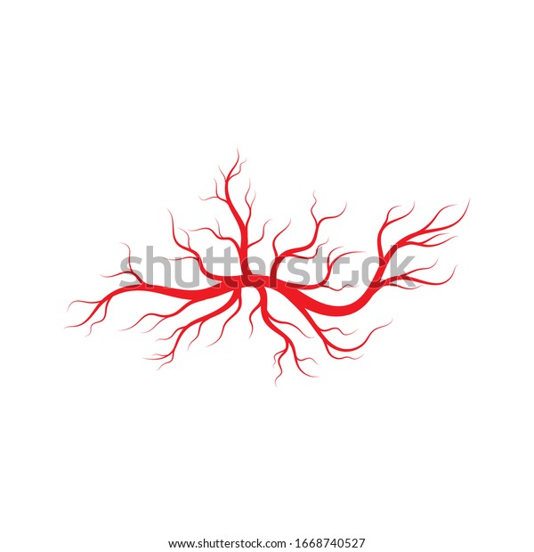 Human Veins Arteries Illustration Design Template Stock Vector Royalty Free 1668740527 3140