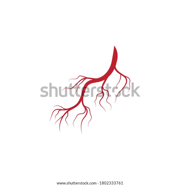 Human Veins Arteries Illustration Design Template Stock Vector Royalty Free 1802333761 5563