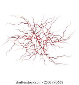 Venen und Arterien des Menschen auf Rot 