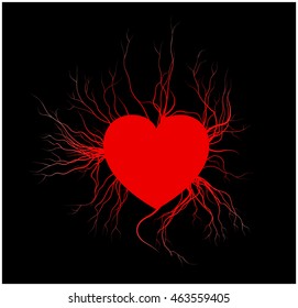 human veins with heart, red love blood vessels valentine design. Vector illustration isolated on black background
