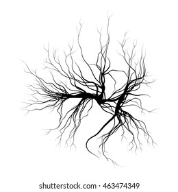 human veins, red blood vessels design. Vector illustration isolated on white background