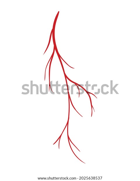 Human Veins Red Silhouette Vessel Arteries Stock Vector (Royalty Free ...