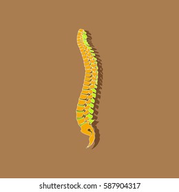 human vertebral column paper sticker on stylish background