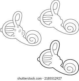 Human vestibular apparatus. The cochlea of the vestibular apparatus. Vector linear illustration.