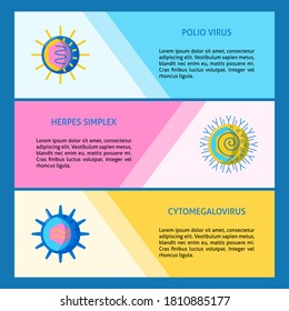 Los tipos de virus humanos conceptualizan plantillas de volante en estilo plano con lugar para texto. Virus de la polio, símbolos herpes simple y citomegalovirus. Ilustración vectorial.